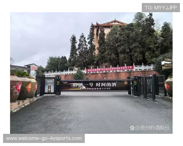 贵州茅台镇8亿投资遭遇强拆，企业权益受损，贵州贵阳茅台镇