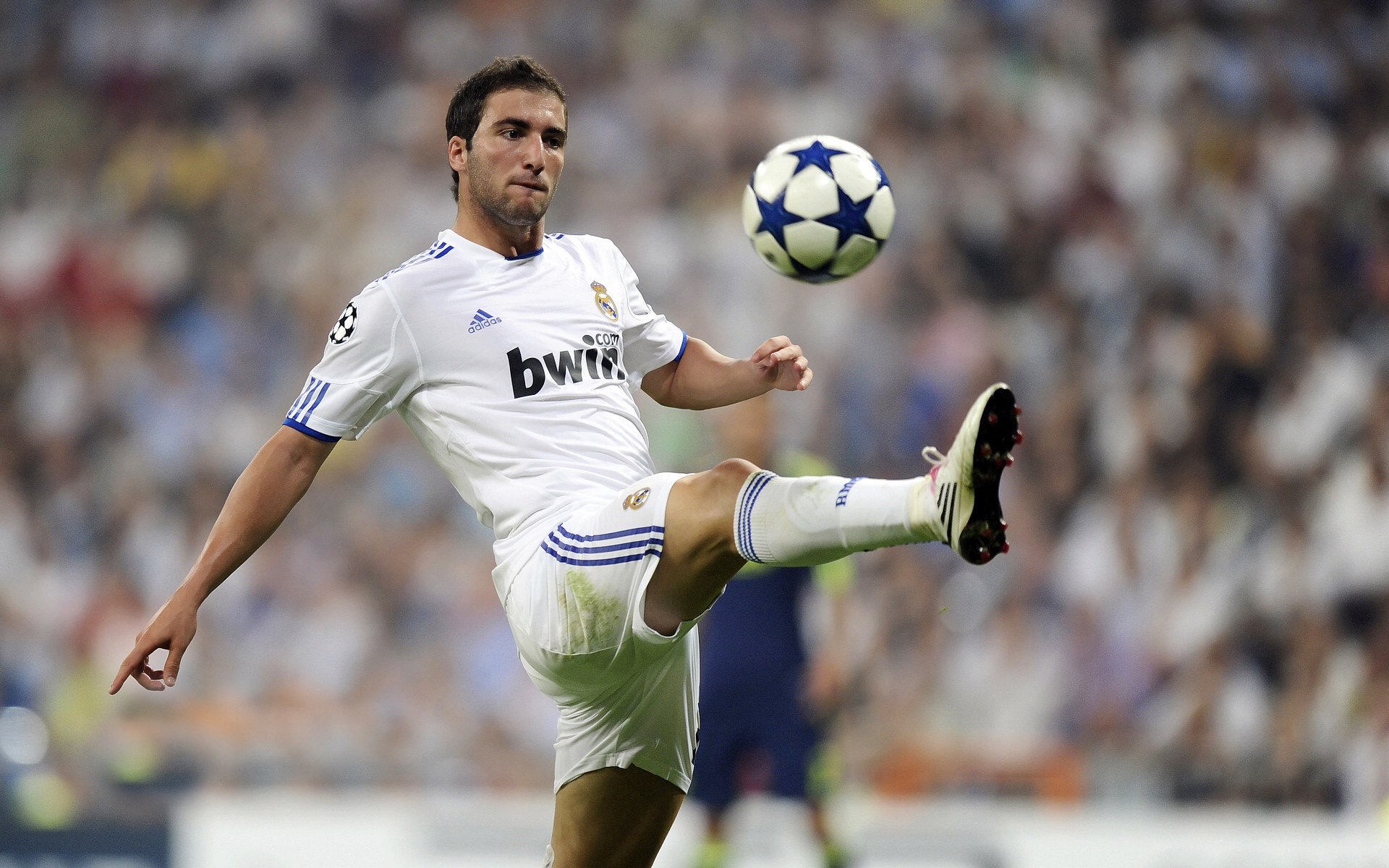 城市体育核心区实施“绿色赛事”指标评价体系：引领未来的绿色体育新风尚